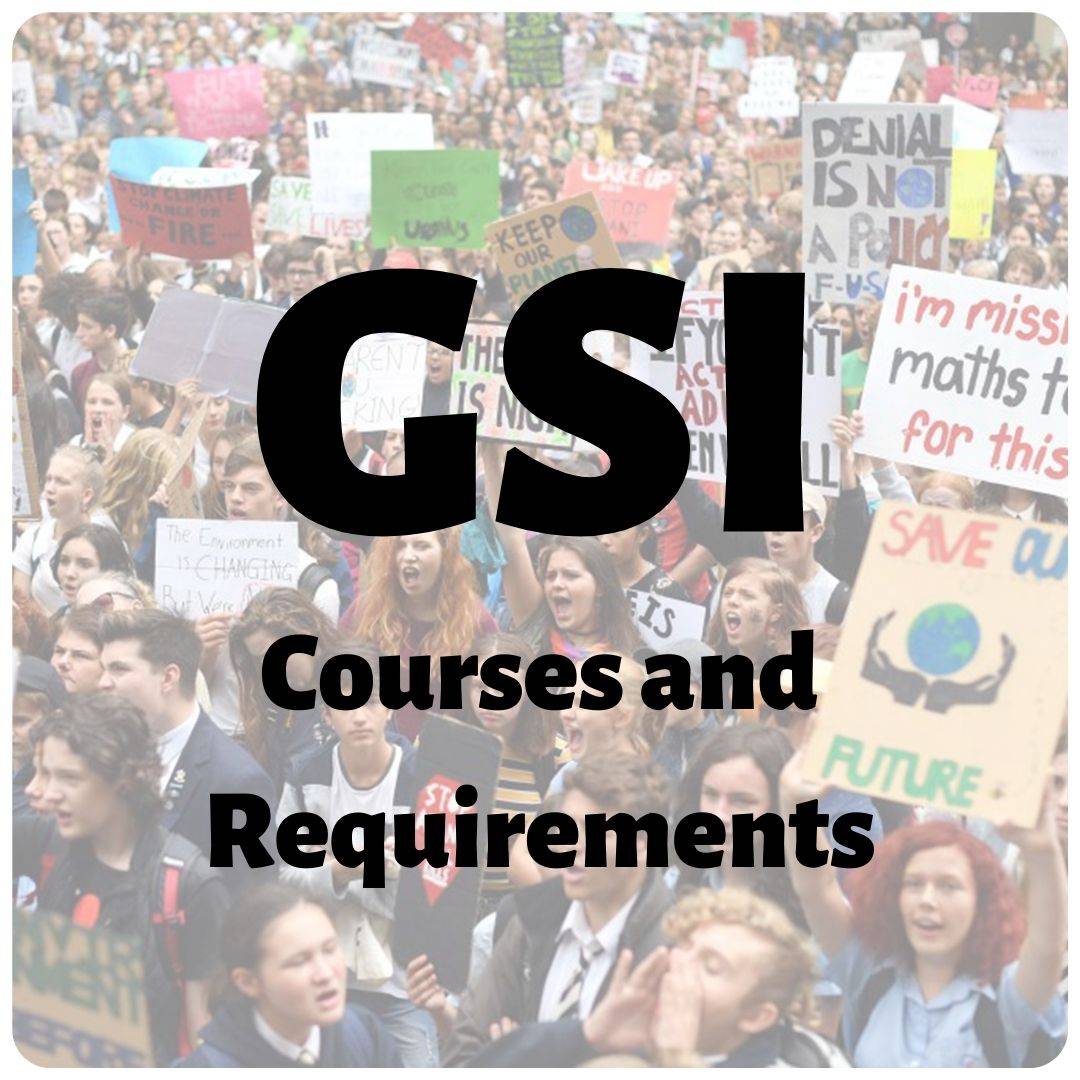 GSI Course Information